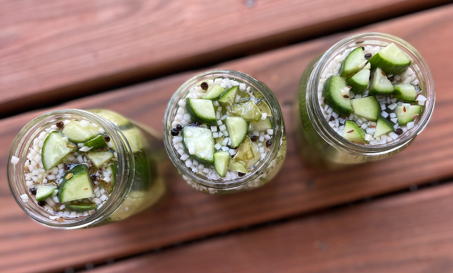 THE GOURMET PICKLE KIT- Make your own fresh and delicious pickles!